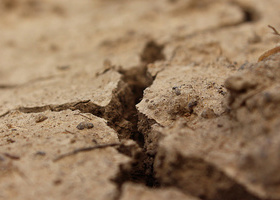Dry soil